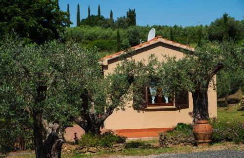 Appartamento bilocale I Cerroni Montescudaio - Foto 31