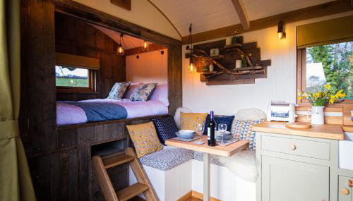 Little Ash Glamping - Luxury Shepherd's Huts - Foto 3