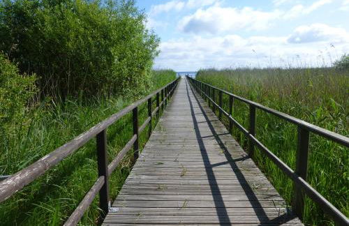 Altes Fischerhaus - Foto 38