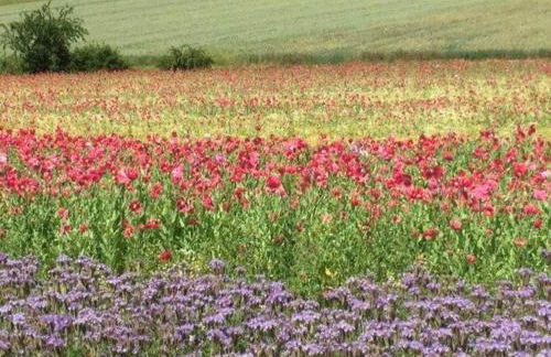 Modern Holiday Home in Hessen - Foto 56