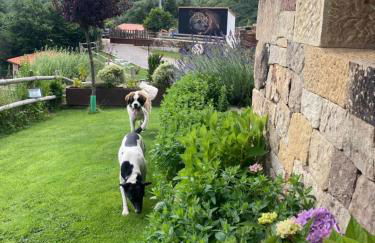 Los Chozos de la Braña - Foto 12