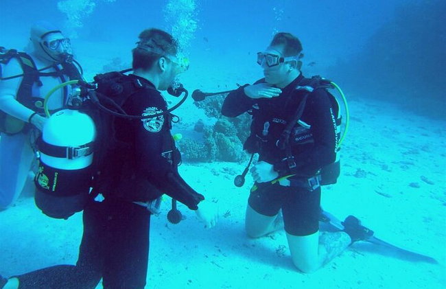 "Corso di immersione professionale" per 4 giorni di straordinaria vita marina - Foto 2