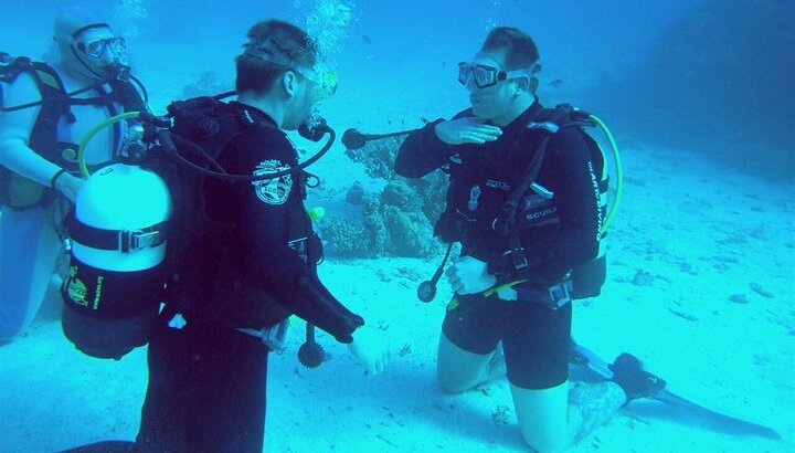 "Professional diving course" for 4 days of amazing sea life - Photo 2