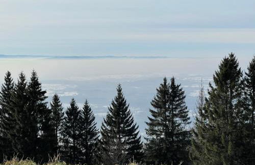 Blackforest Homestay Apartments - Foto 39