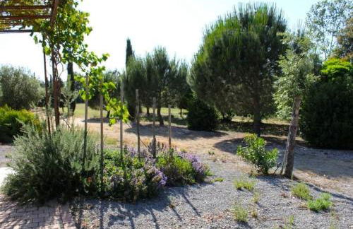 Agriturismo Il Riccio - Foto 5