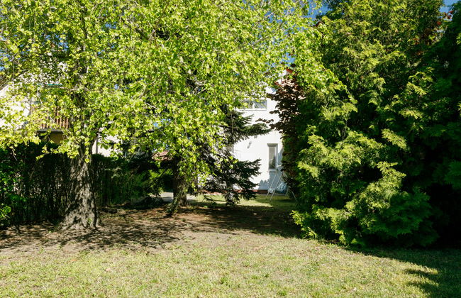 Mathias Rex - Foto 15