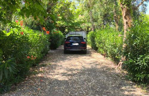 House of Memories - Photo 33