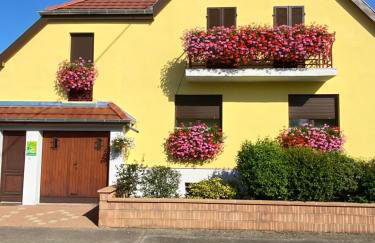 ALSACE Gîte 3étoiles climatisé prox Colmar, Eguisheim, parking, jardin - Foto 1