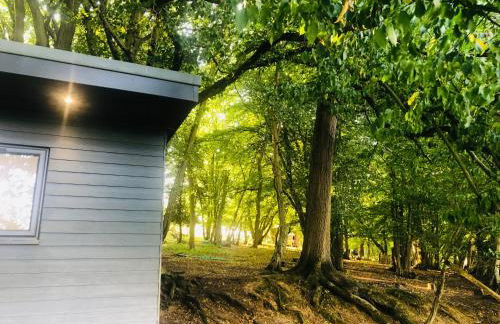 Farm woodland riverview cabin bbq firepit pet friendly - Foto 20