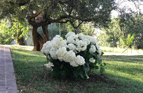Antica Fonte holiday home - Foto 16