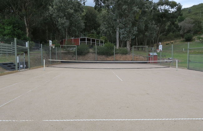 The Black Sparrow - Photo 58