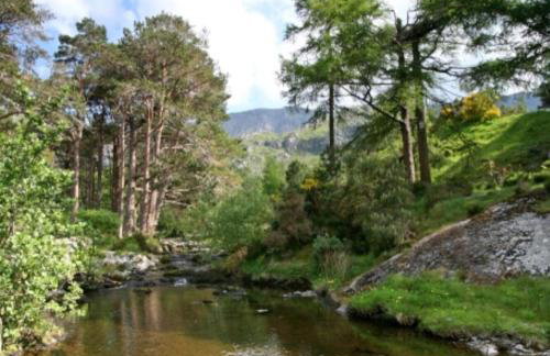 River bank apartment - Photo 19