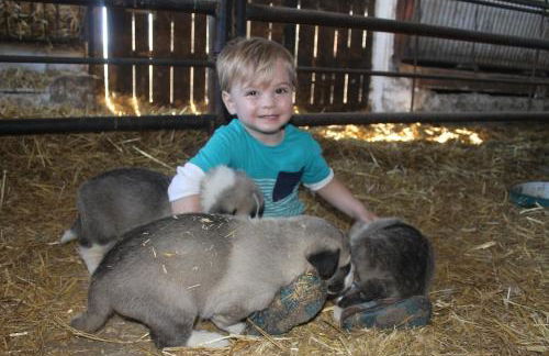 Casa Rural el Ribero I - Photo 21