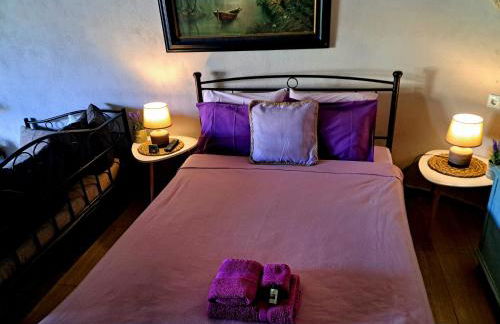 Zoe garden home - Photo 63