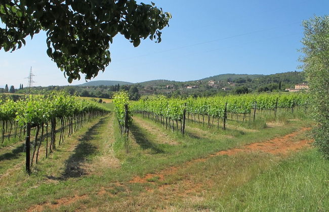 Agriturismo Podere Ficareto - Foto 62