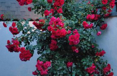 Apartment mit Wohnflair - Foto 18