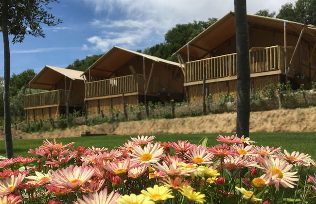 Il Girasole - Foto 1