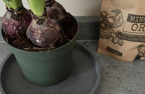 KampenZeit Loft mit traumhaftem Panoramablick - Foto 28