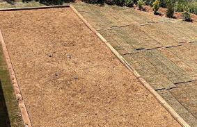 Appartement 4A villa cargese - Foto 18