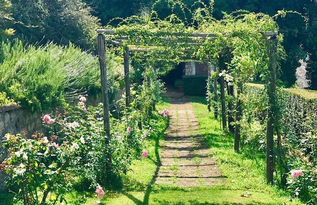 Villa Vinarte Elegant Home 2 Pools Tennis spa Winery Exclusively for you - Foto 31