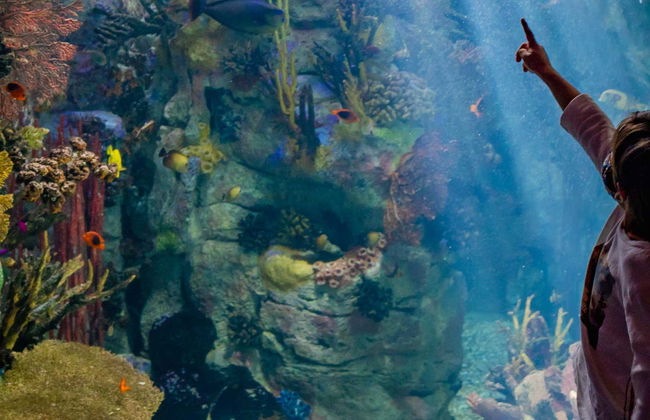 San Diego CityPASS® - Foto 1