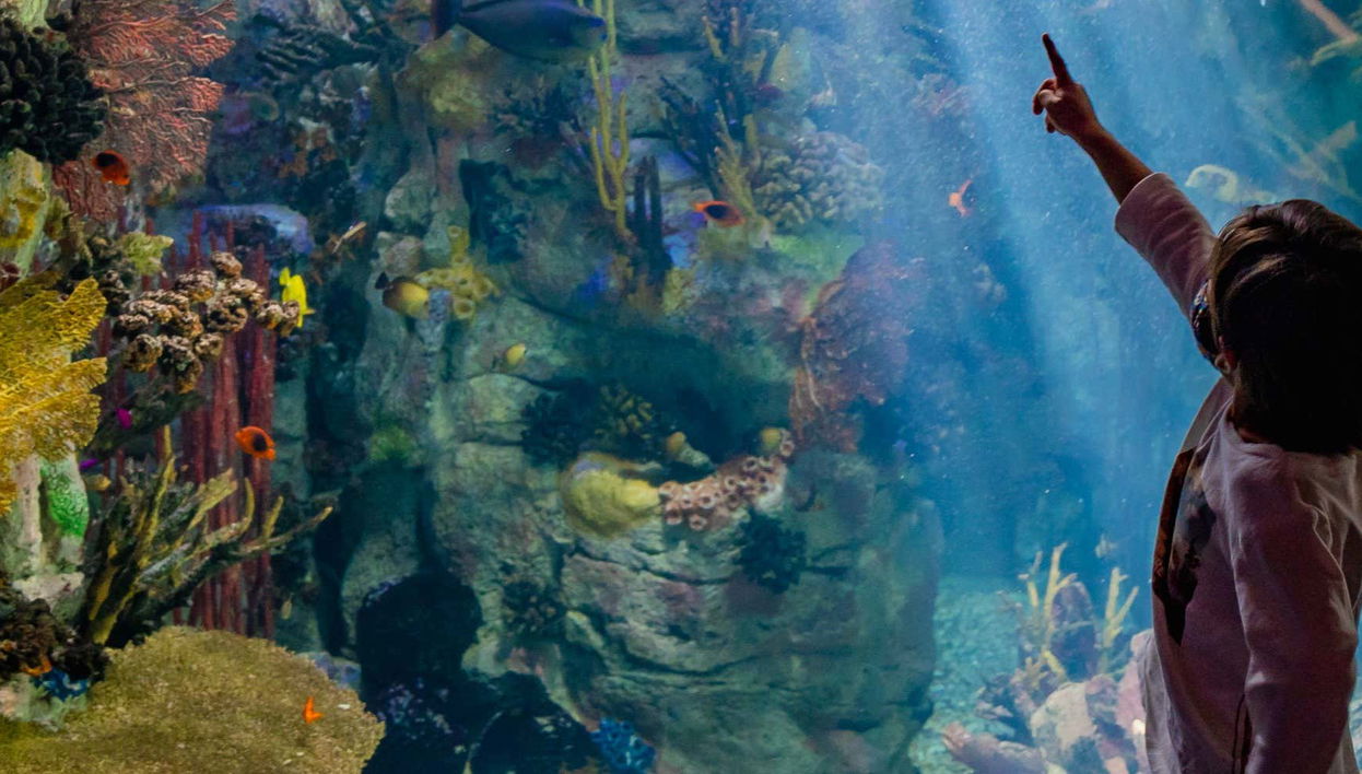 San Diego CityPASS®