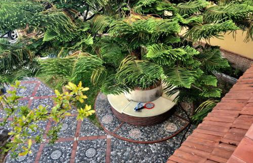 Una Araucaria sul mare - Foto 31