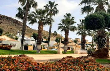 Bungalow Flor de Lirio - Foto 30