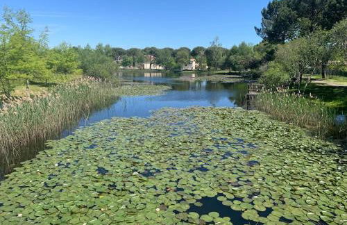 Charmant studio rénové - Foto 19