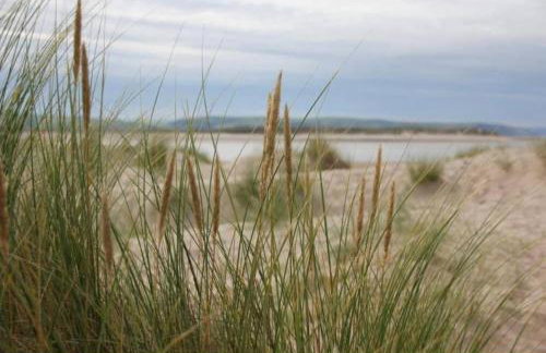 Isfryn, holiday home in Aberdyfi - Foto 8