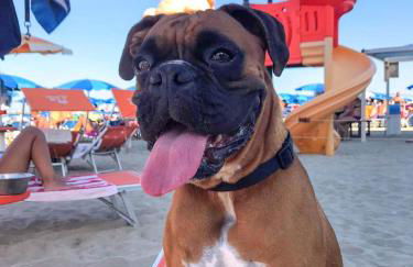 La Casa di Pamy - Foto 48