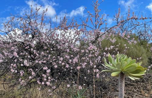 Apartamerica 471, Gartenwohnung, Pool, 150 M zum Strand, Las Americas - Foto 75