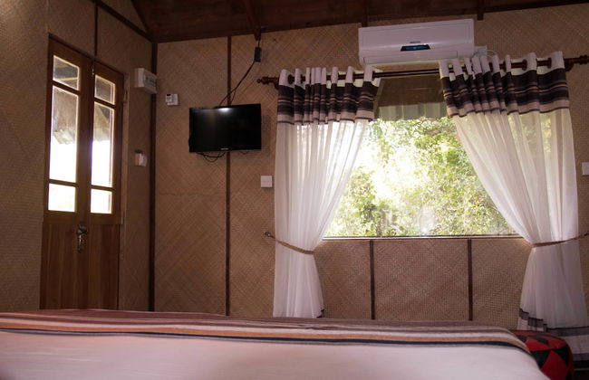 Thick forest sigiriya - Photo 4