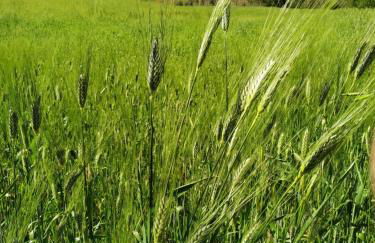 Agriturismo Ponterosa - Foto 81