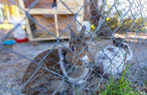 Hotel-Apart CORTIJO LAS PIÑAS - Foto 13