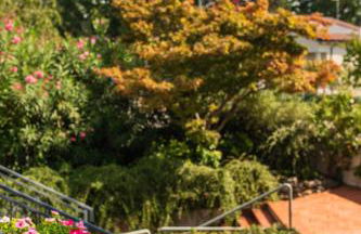 Halloggio98 - Photo 31