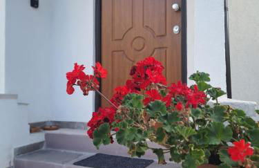 La Casa nel Bosco Rocchetta a Volturno - Foto 20