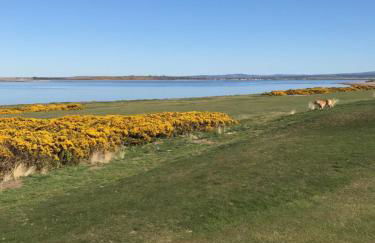 Stagstone apartment in Fortrose - Foto 14