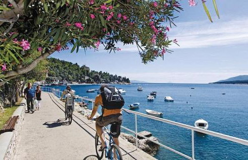 Villa Kozljak, for 10 people, pool - Foto 46