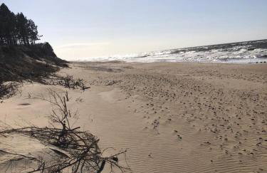 Zielonka Relaks - Foto 25