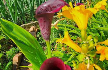 a casa di nonna Tarsilla-entire apartment,5 guests - Foto 52