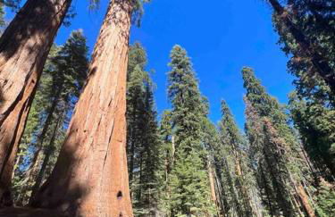 Modern Cabin, Near Snow Park, 3.5 Miles to SNP! - Foto 20