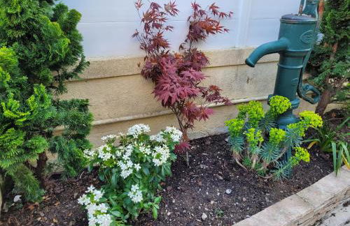 Maison de pêcheur charmante et atypique en pierre, 1 min de marche de la mer - Foto 17
