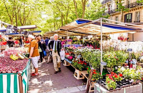 Studio Cosy, Rénové, Ecrin de calme & confort - Foto 19