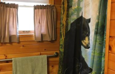 Secluded Cabin Nestled in the Mountains near the Tioga State Forest, Pennsylvania - Foto 21