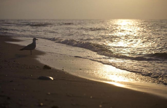 Idyllic Holiday Home in Damshagen With Terrace - Foto 76