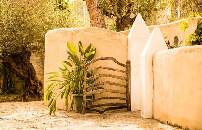 Mas Nur Sitges - Photo 69