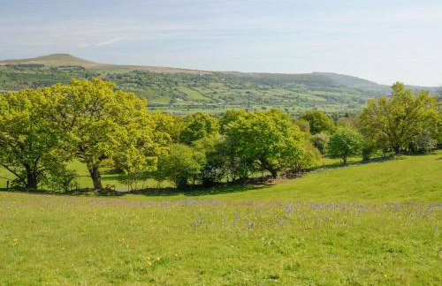 Black Cat Bach - Foto 41