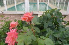 Finca y Casa Rural Los Huertos - Foto 11