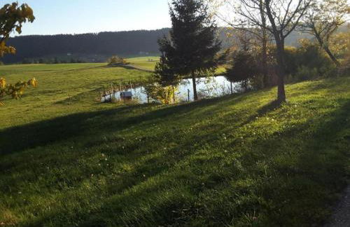 Ferienwohnung in Schiltach - Foto 37